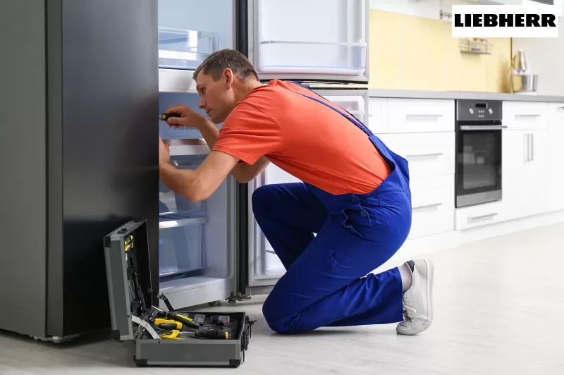 صيانة ثلاجات ليبهير