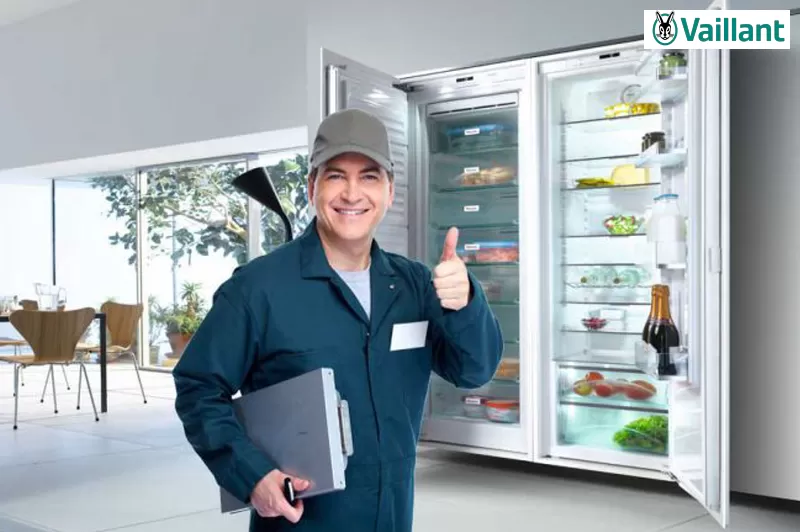 صيانة فايلنت وعناوينها